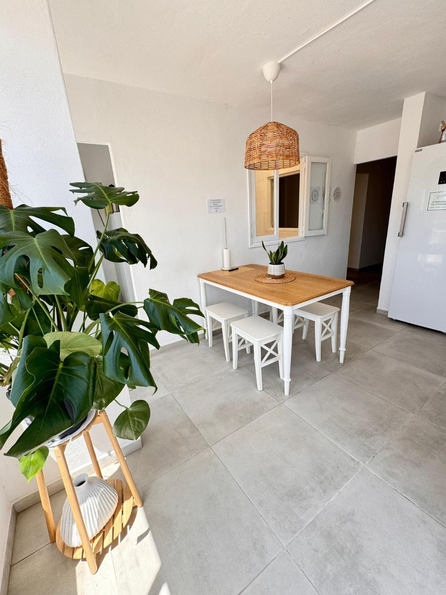 Cisne By Nest Hostel Sant Antoni de Portmany Exterior foto