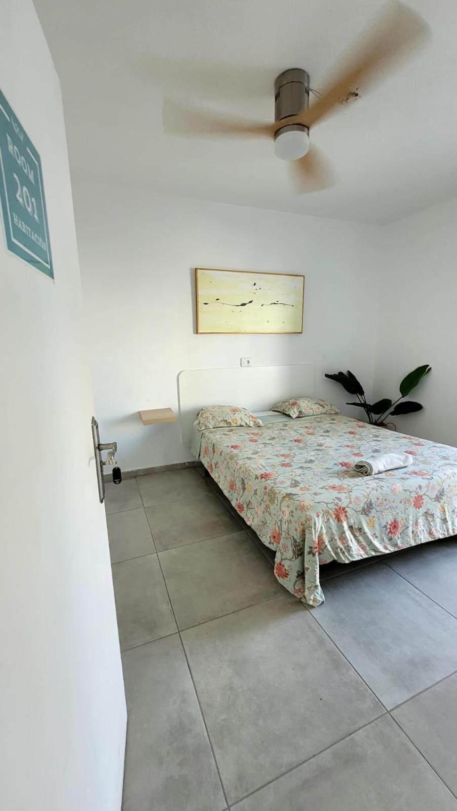 Cisne By Nest Hostel Sant Antoni de Portmany Exterior foto